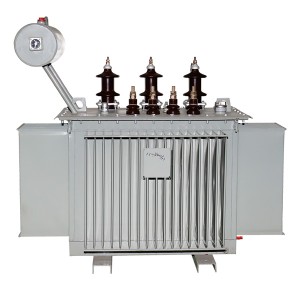 S10 ស៊េរី 11 kv class transformer